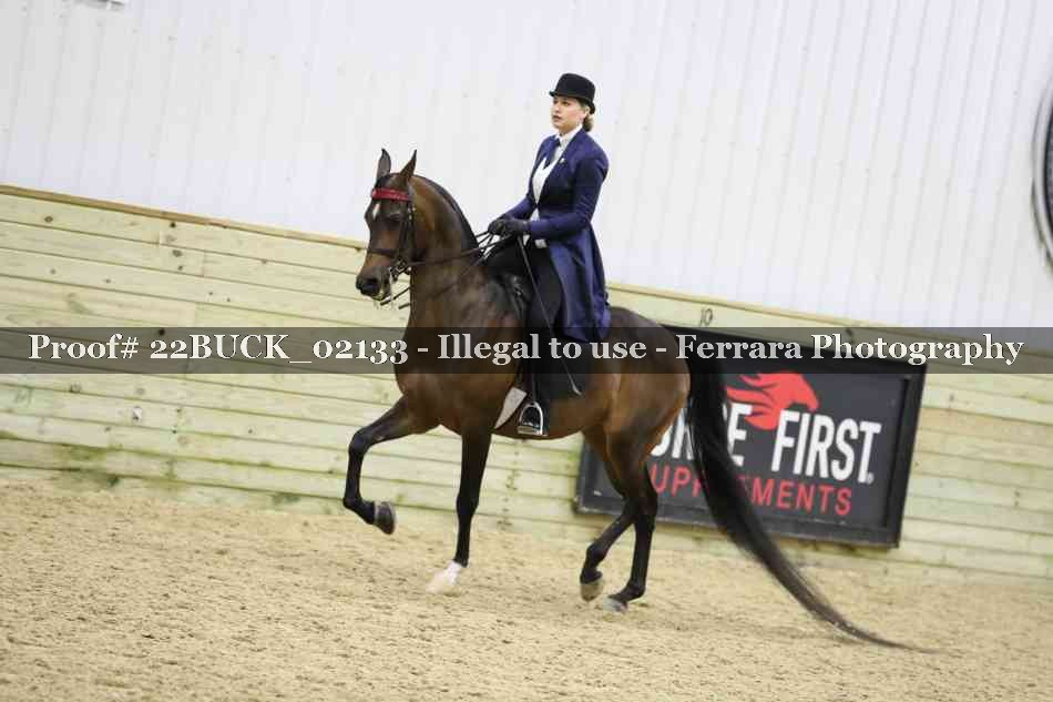 Proof 22BUCK_02133