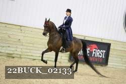 22BUCK_02133 proof