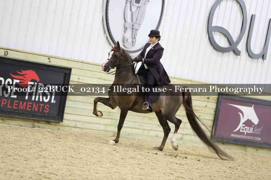Proof 22BUCK_02134