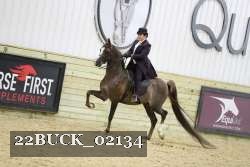 22BUCK_02134 proof