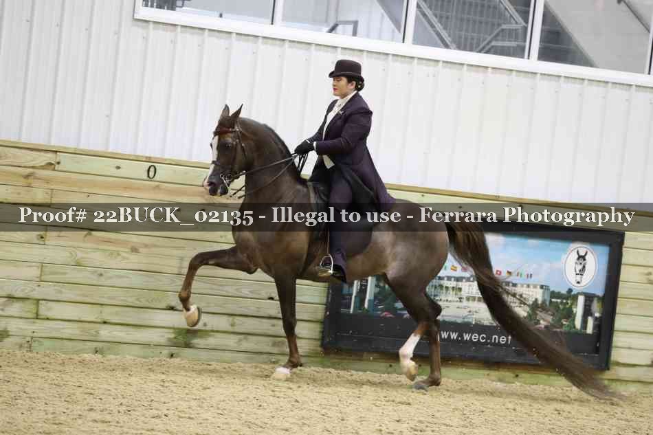 Proof 22BUCK_02135