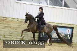 22BUCK_02135 proof
