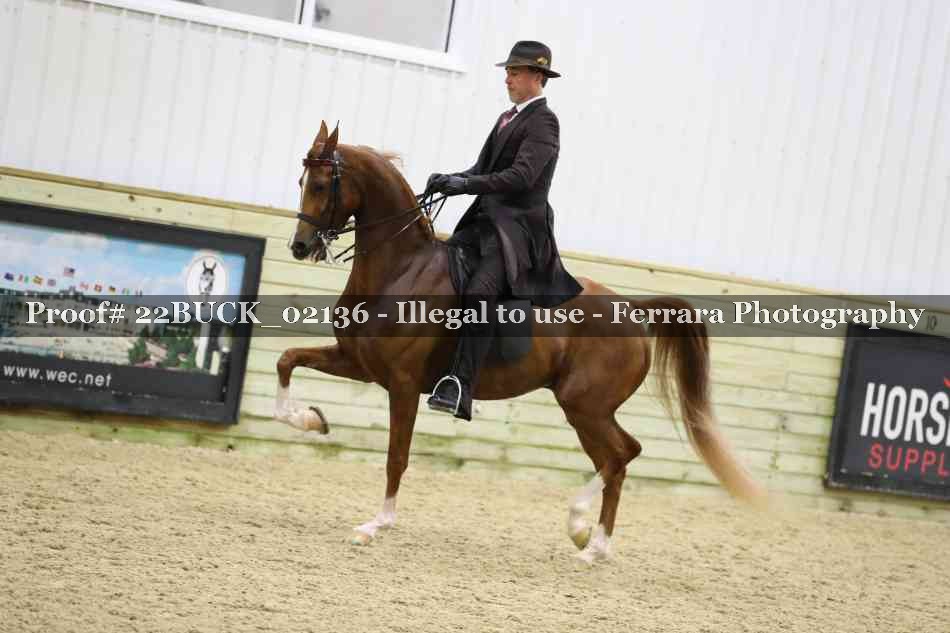 Proof 22BUCK_02136