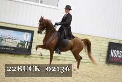 22BUCK_02136 proof