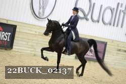 22BUCK_02137 proof