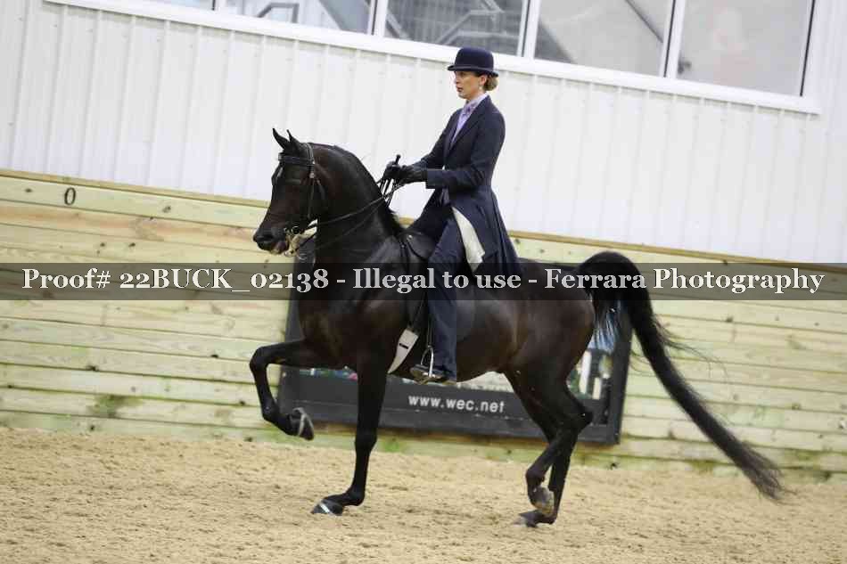 Proof 22BUCK_02138