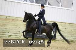 22BUCK_02138 proof