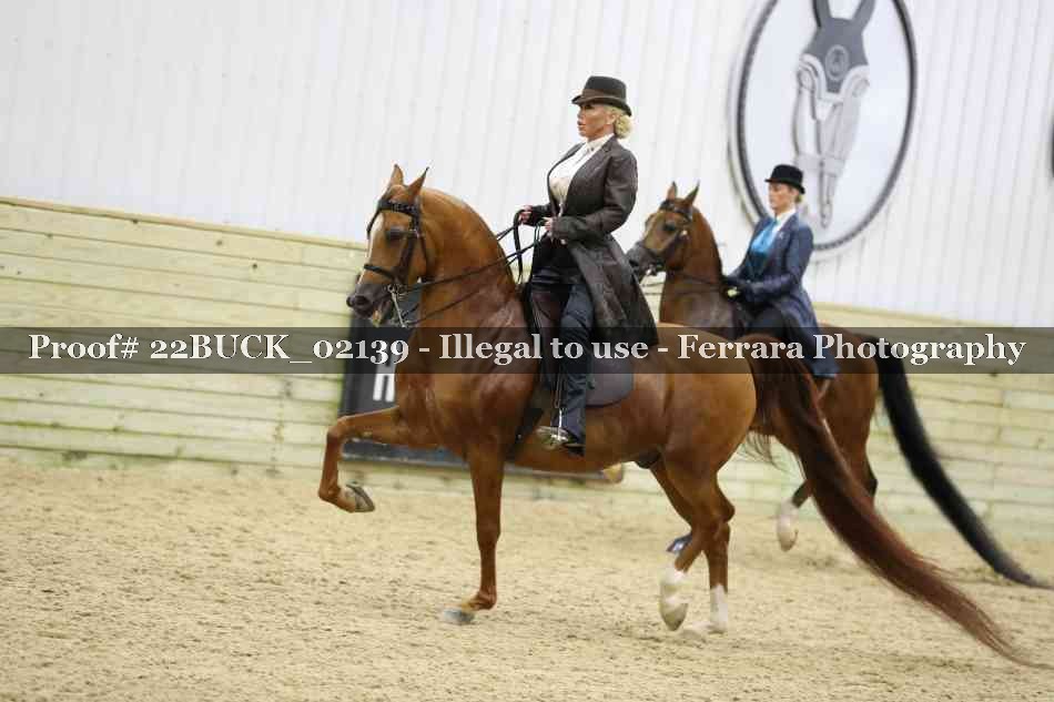 Proof 22BUCK_02139