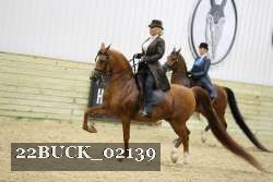 22BUCK_02139 proof