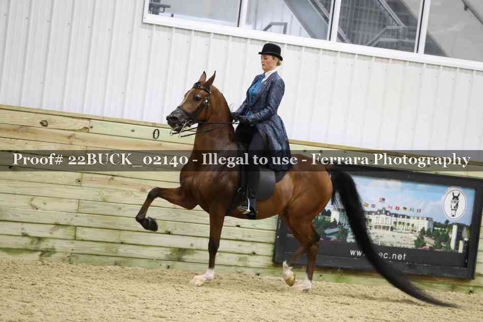 Proof 22BUCK_02140