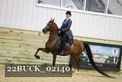 22BUCK_02140 proof