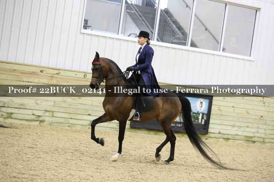 Proof 22BUCK_02141