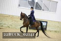 22BUCK_02141 proof