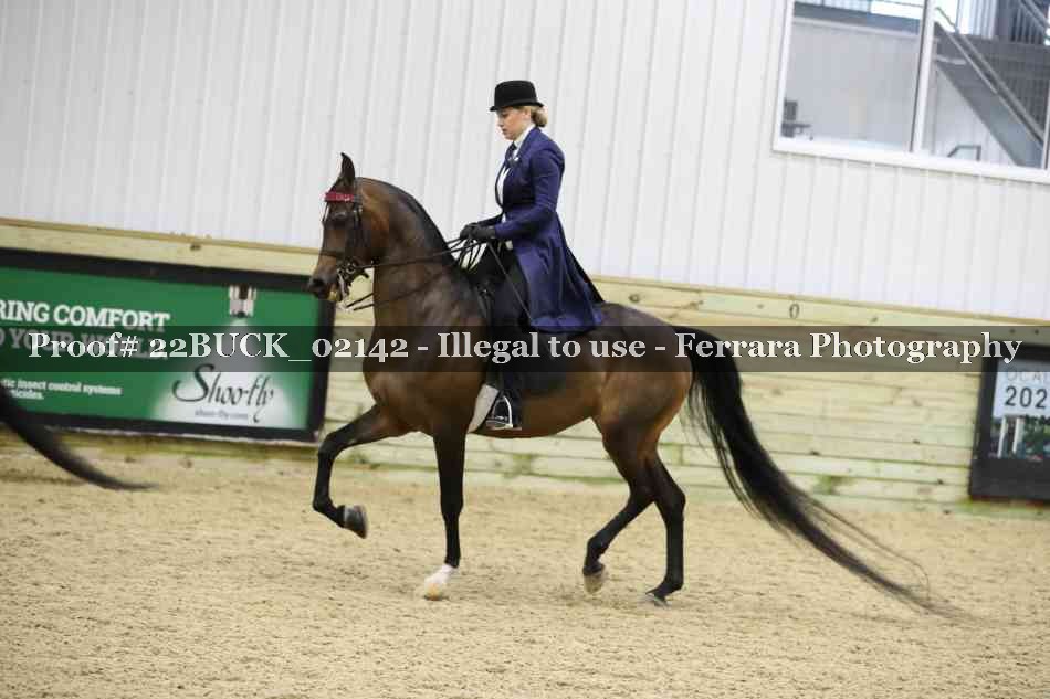 Proof 22BUCK_02142