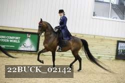 22BUCK_02142 proof