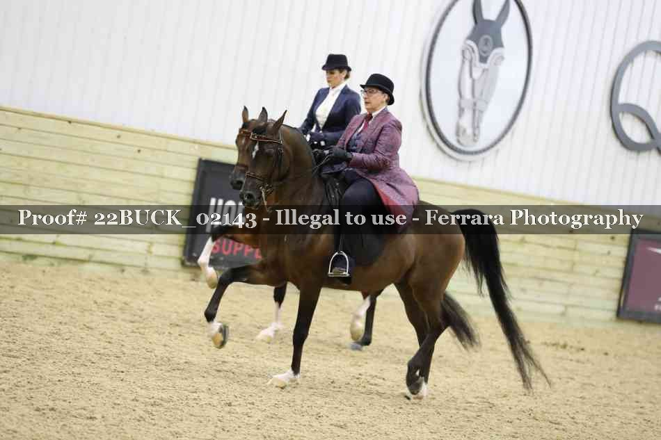 Proof 22BUCK_02143