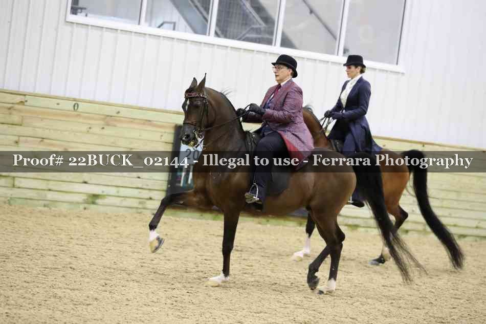 Proof 22BUCK_02144