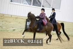 22BUCK_02144 proof