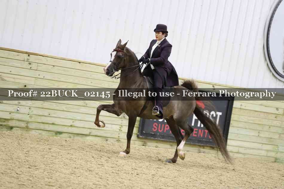 Proof 22BUCK_02145
