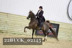 22BUCK_02145 proof