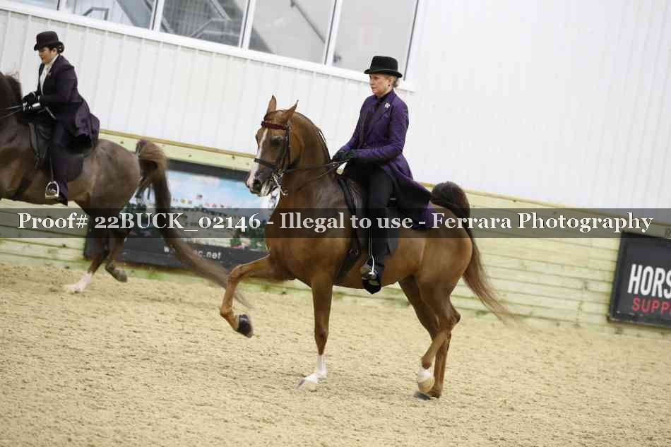Proof 22BUCK_02146