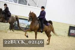22BUCK_02146 proof