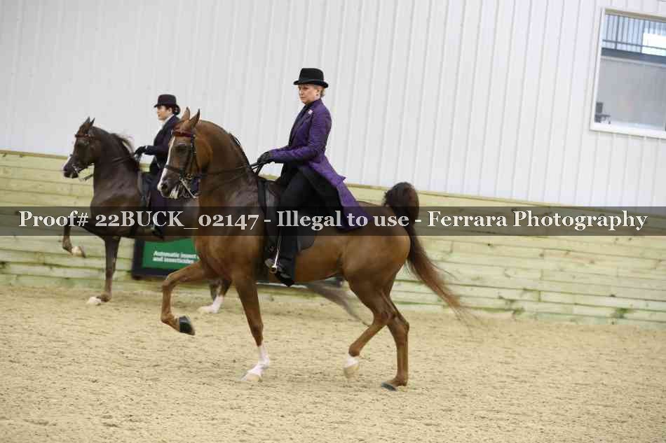 Proof 22BUCK_02147