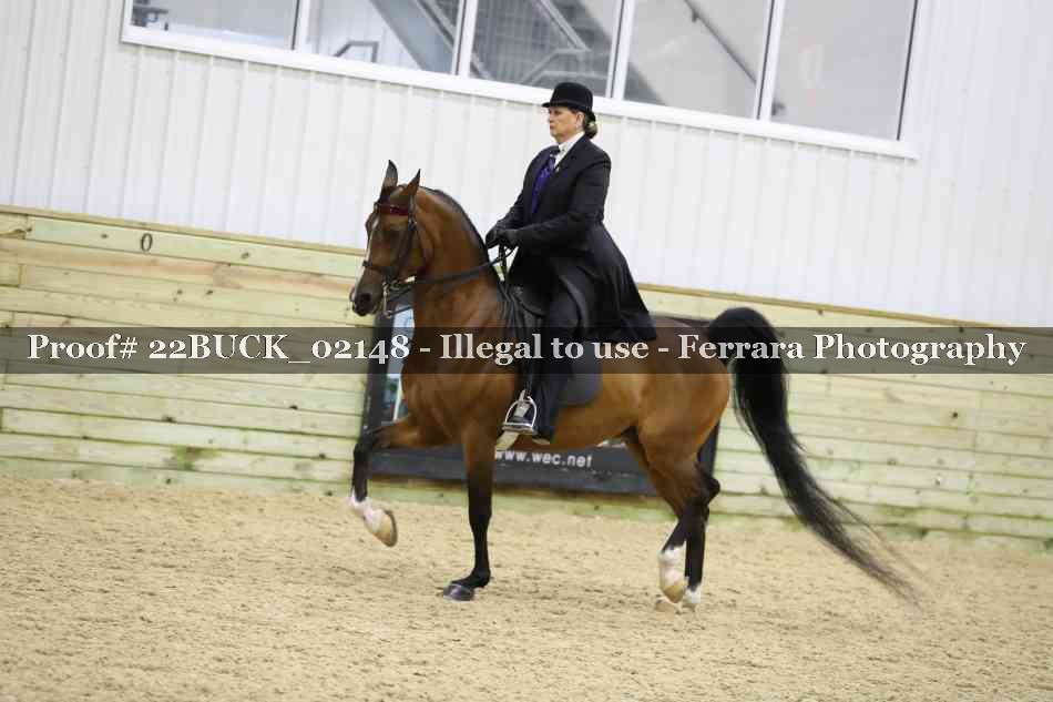 Proof 22BUCK_02148
