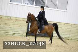 22BUCK_02148 proof