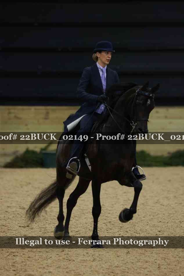 Proof 22BUCK_02149