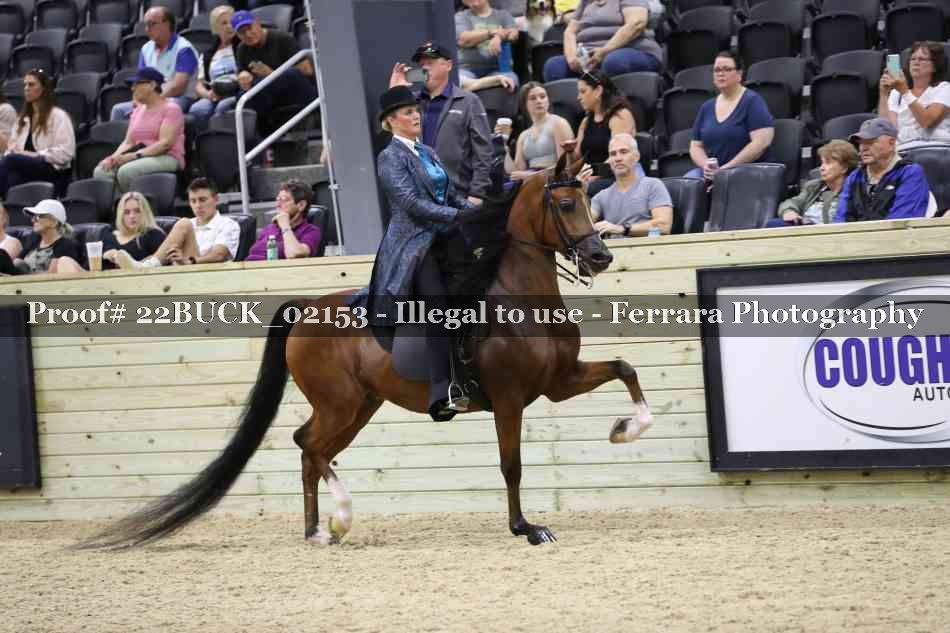 Proof 22BUCK_02153