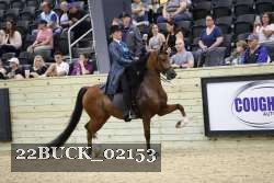 22BUCK_02153 proof