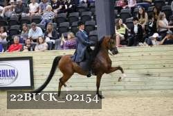 22BUCK_02154 proof