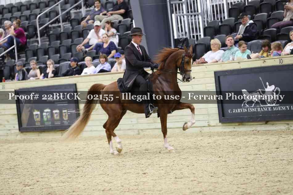 Proof 22BUCK_02155