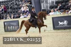 22BUCK_02155 proof