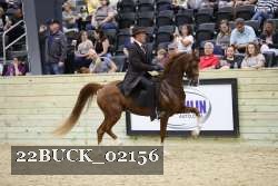 22BUCK_02156 proof
