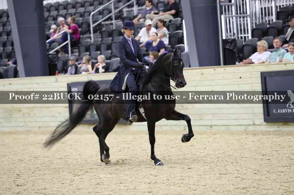 Proof 22BUCK_02157