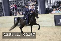 22BUCK_02157 proof