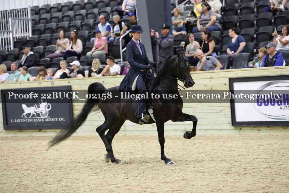 Proof 22BUCK_02158