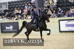 22BUCK_02158 proof