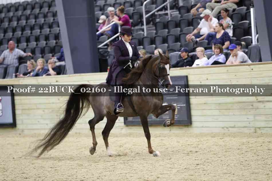 Proof 22BUCK_02160