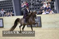 22BUCK_02160 proof