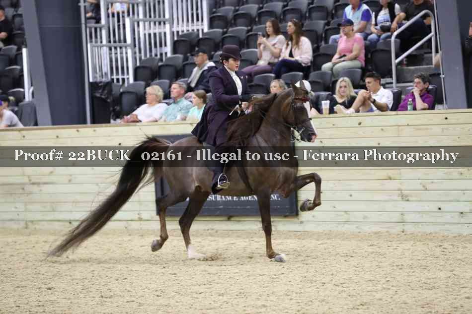 Proof 22BUCK_02161