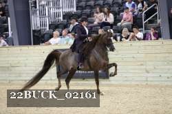 22BUCK_02161 proof