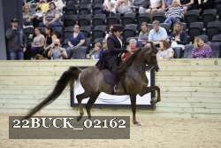 22BUCK_02162 proof
