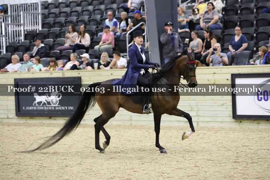 Proof 22BUCK_02163