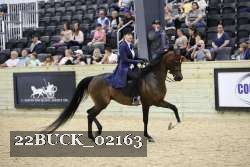 22BUCK_02163 proof