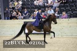 22BUCK_02164 proof