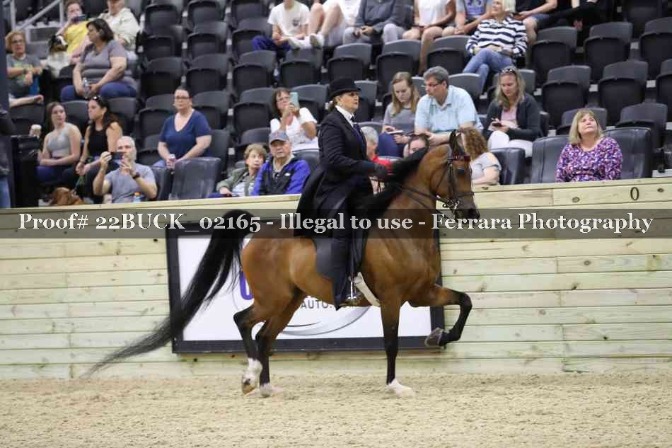Proof 22BUCK_02165
