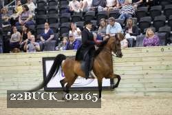 22BUCK_02165 proof